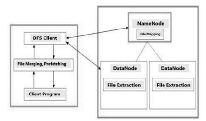 extended-hdfs-architecture